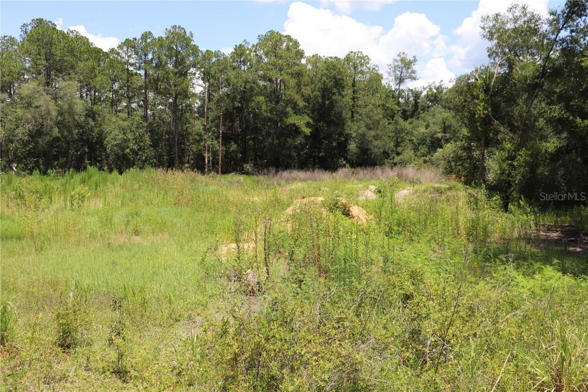 Bedstone Dr., Webster, FL 33597
