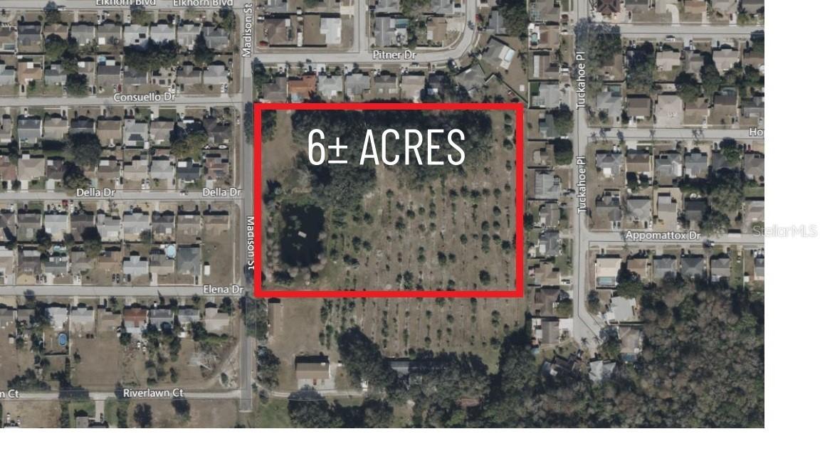 3236 Madison St., Holiday, FL 34690