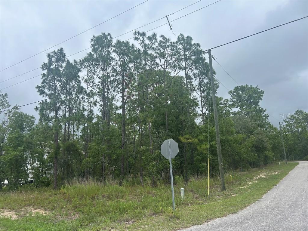 2 Balata Ct., Homosassa, FL 34446