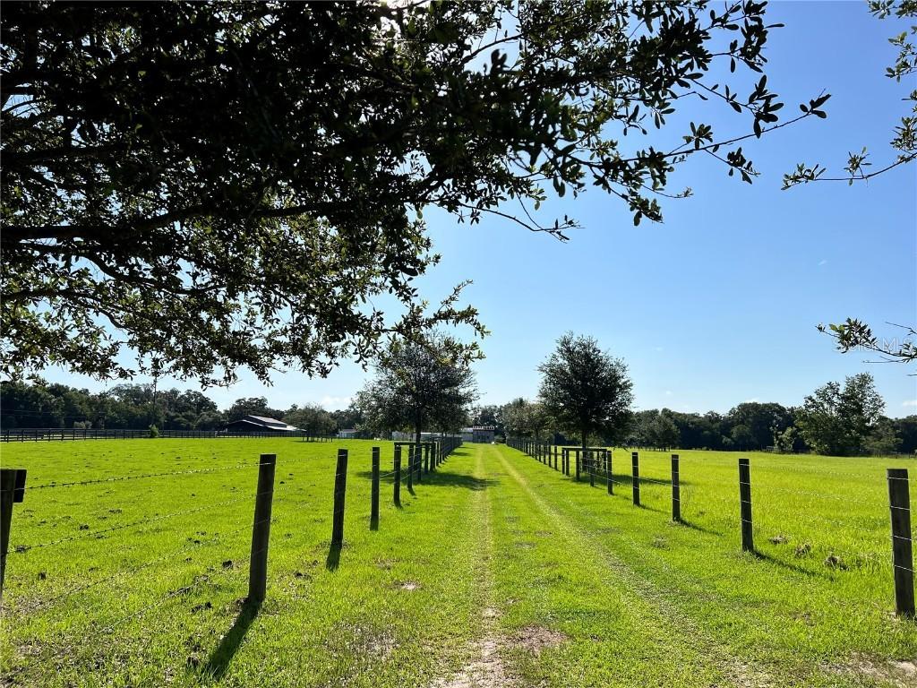 15353 S 475, Summerfield, FL 34491