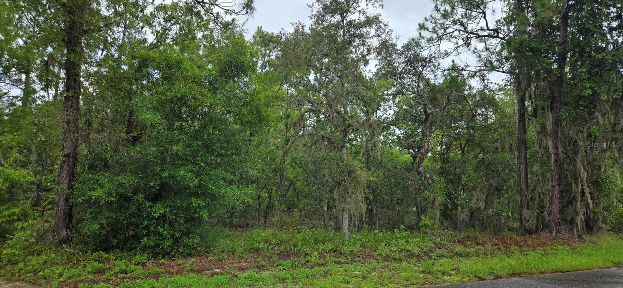 1308 N Prospect Ave., Lecanto, FL 34461