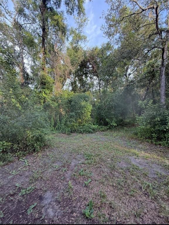 12300 Walter St., Hudson, FL 34669