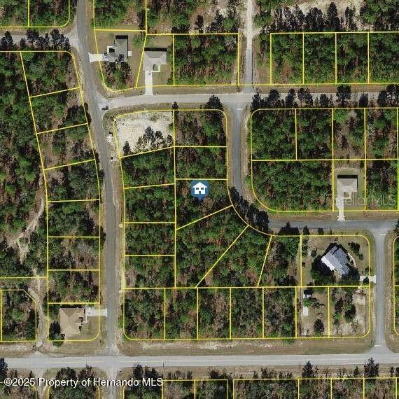 2432 W Elmore Loop, Citrus Springs, FL 34434
