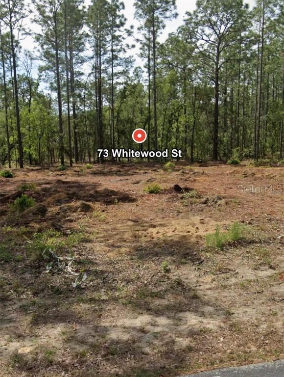 73 Whitewood St., Homosassa, FL 34446