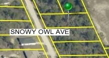 Snowy Owl Ave., Brooksville, FL 34614