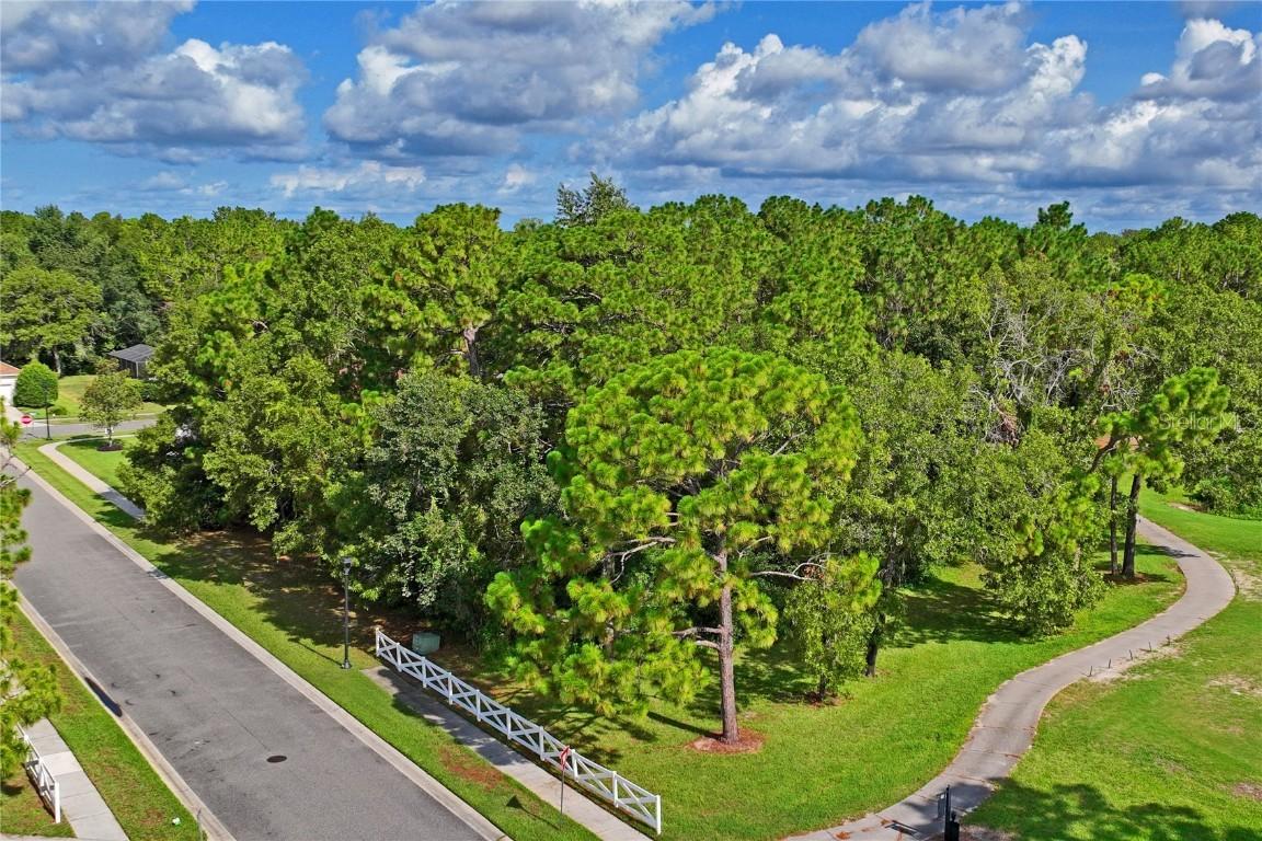 15049 Woodthorn Pass, Brooksville, FL 34609