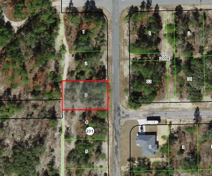 10346 N Spaulding Dr., Citrus Springs, FL 34433