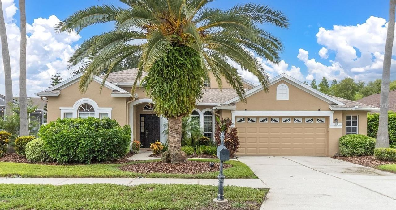 8729 Torchwood Dr., Trinity, FL 34655