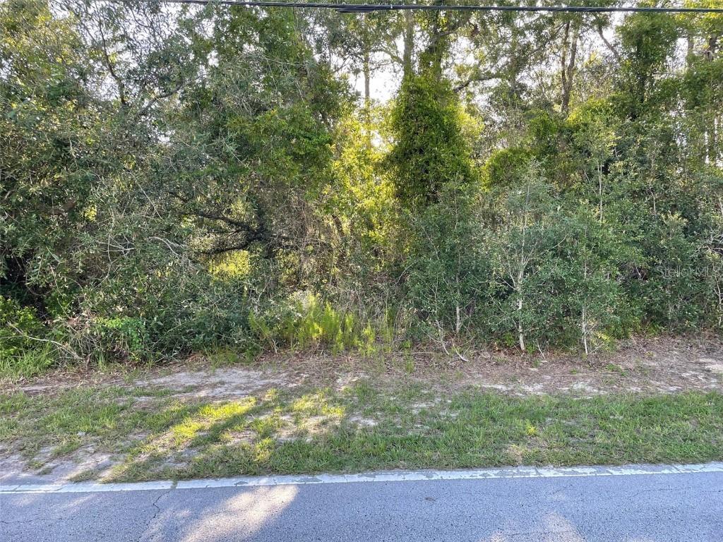 8217 Nightingale Rd., Weeki Wachee, FL 34613