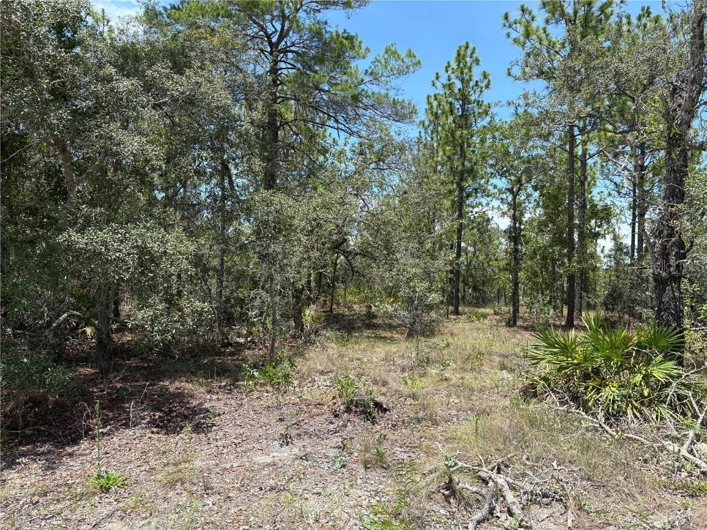 12179 Scarlet Ibis Ave., Brooksville, FL 34614