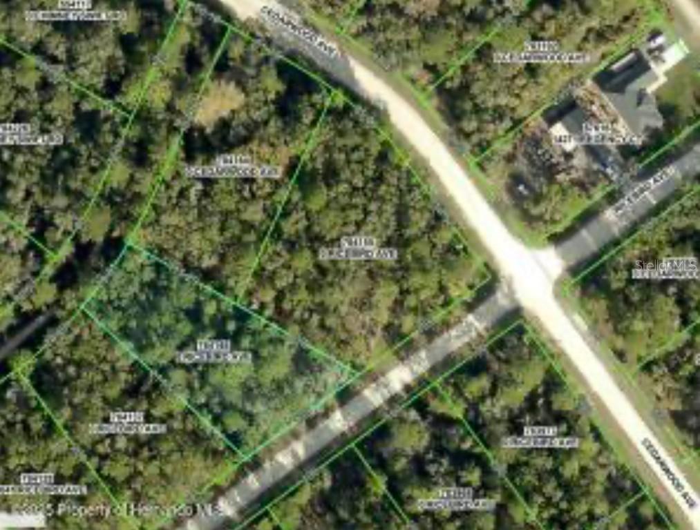 14059 Ricebird Ave., Weeki Wachee, FL 34614