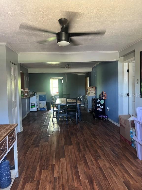 6340 Harrison St., New Port Richey, FL 34653
