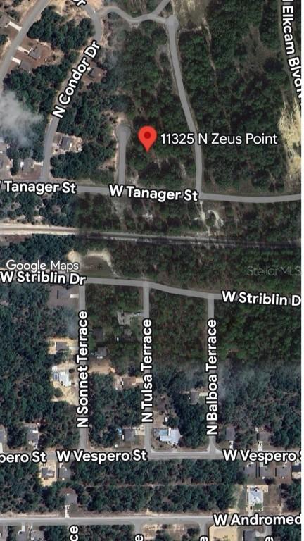 11325 N Zeus Point, Dunnellon, FL 34433