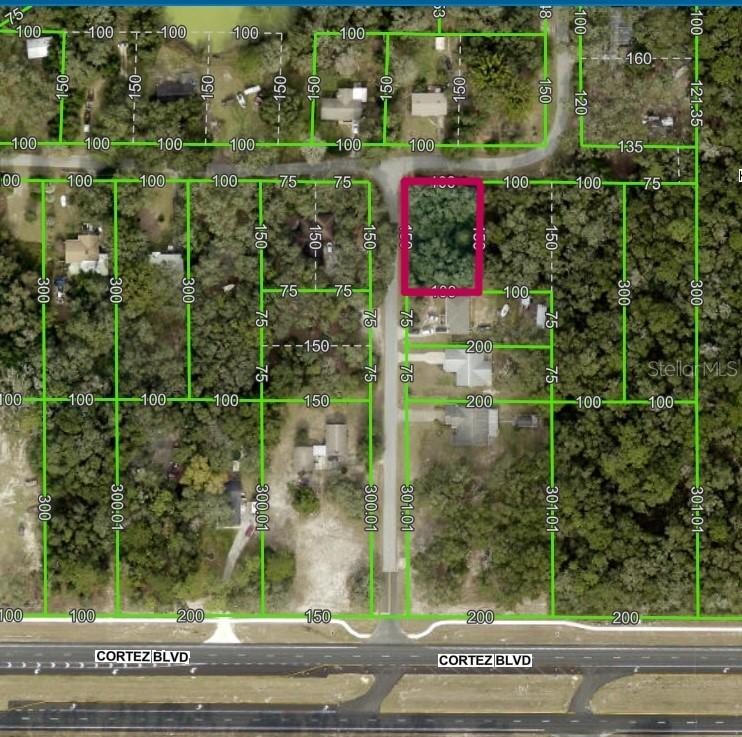 Lot 175C Madison Ave., Dade City, FL 33523