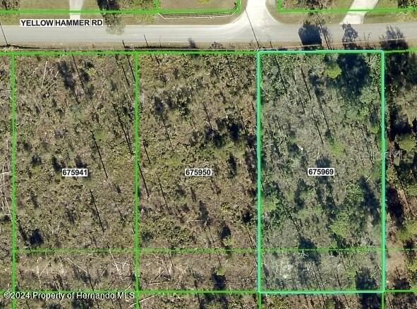 11130 Yellow Hammer Rd., Weeki Wachee, FL 34614