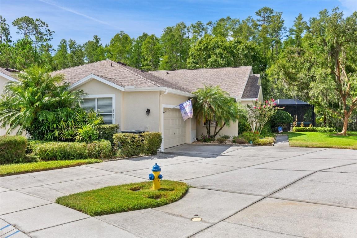 7239 Cleopatra Dr., Land O Lakes, FL 34637