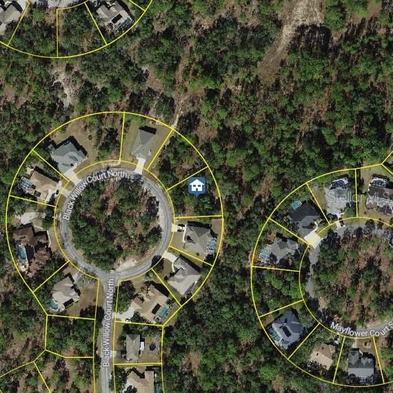 29 Black Willow Ct., Homosassa, FL 34446