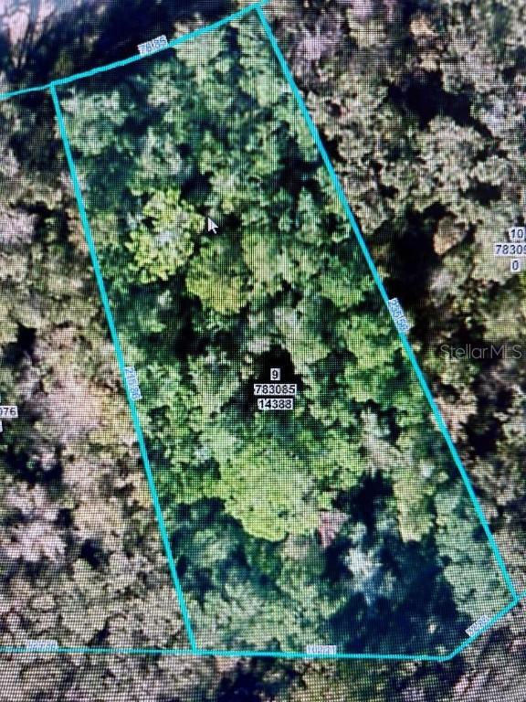 14388 Chimney Swift Rd., Weeki Wachee, FL 34614