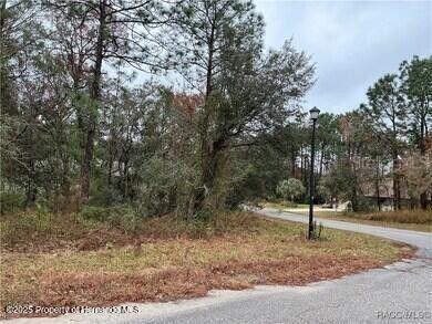 6 Shamrock Ct., Homosassa, FL 34446