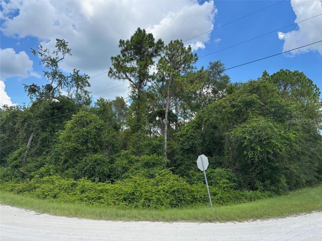 Lot 1 Canvasback Rd., Brooksville, FL 34614