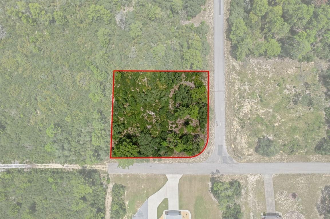 7964 N Gatewood Dr., Citrus Springs, FL 34433