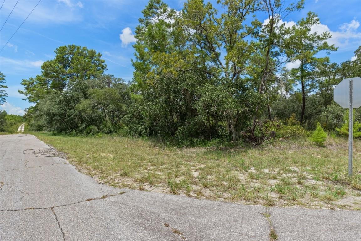 7964 N Gatewood Dr., Citrus Springs, FL 34433