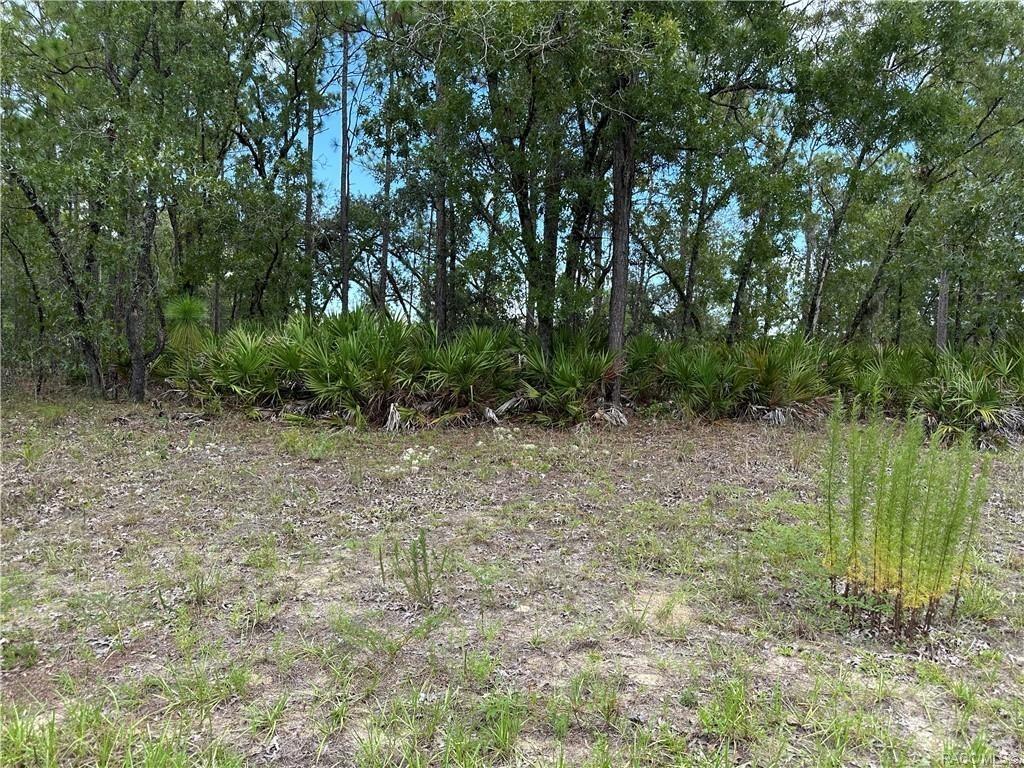 1195 W Hampshire Blvd., Citrus Springs, FL 34434
