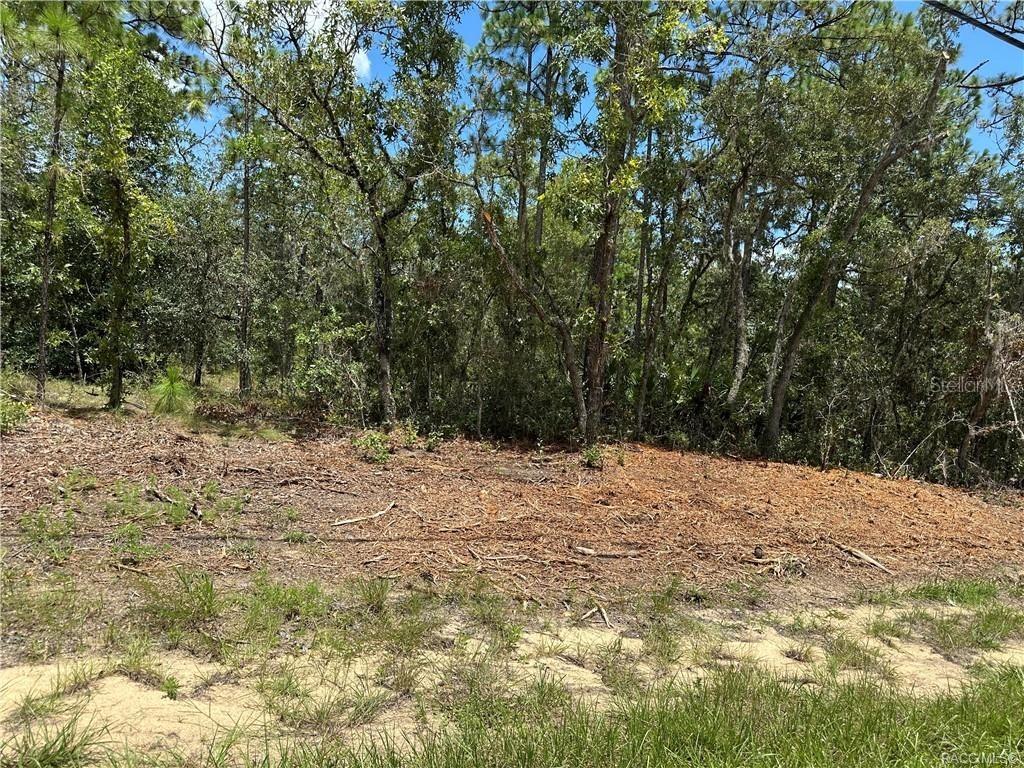 955 W Hampshire Blvd., Citrus Springs, FL 34434