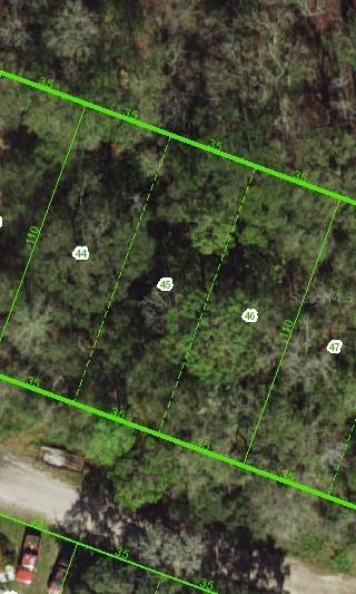 Hialeah Ave., New Port Richey, FL 34654