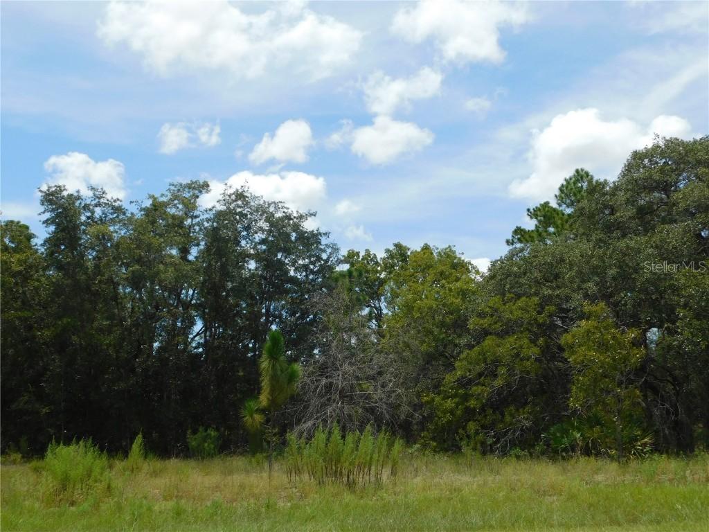 6681 N Bedstrow Blvd., Dunnellon, FL 34434