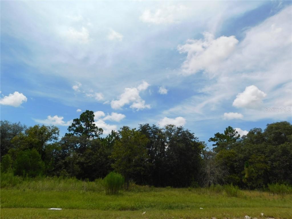 6683 N Bedstrow Blvd., Dunnellon, FL 34434