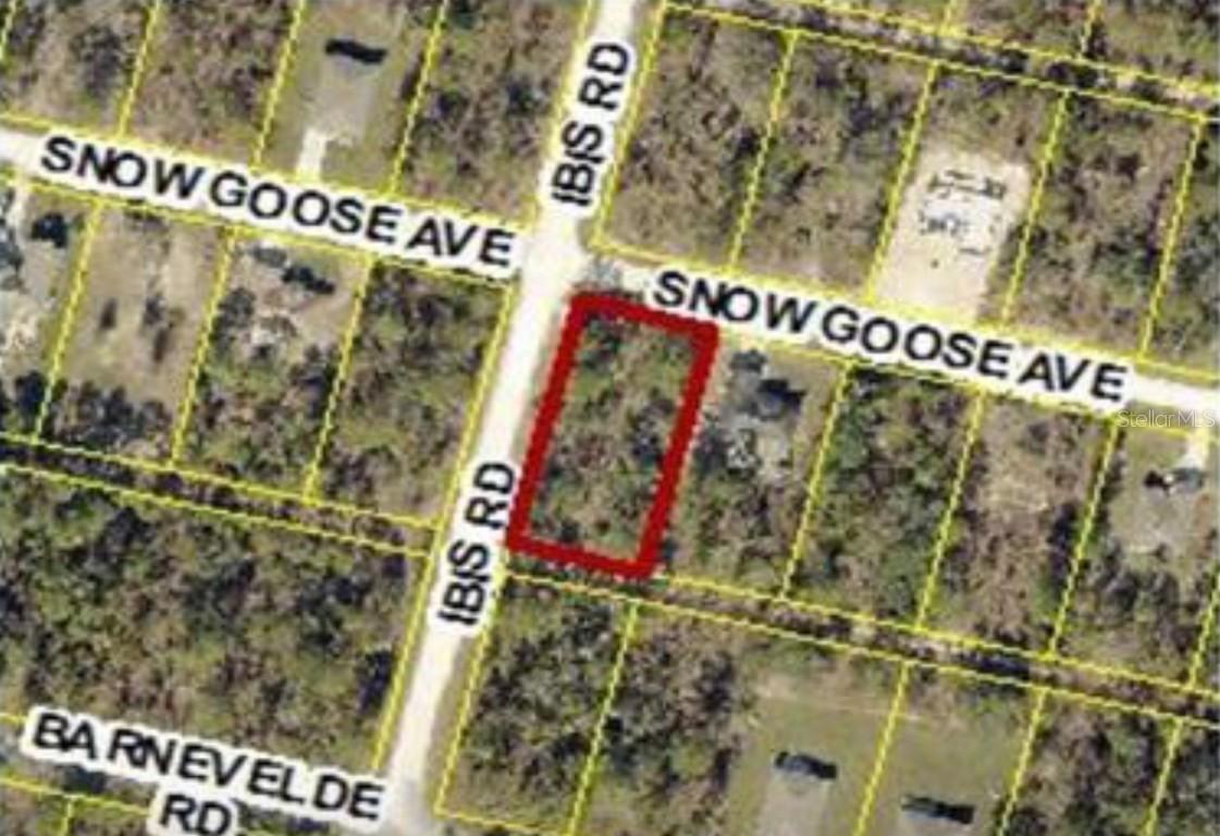 15282 Ibis Rd., Brooksville, FL 34614