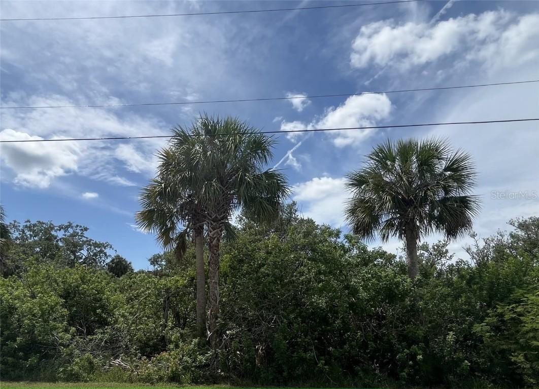 Betty St., Port Richey, FL 34668