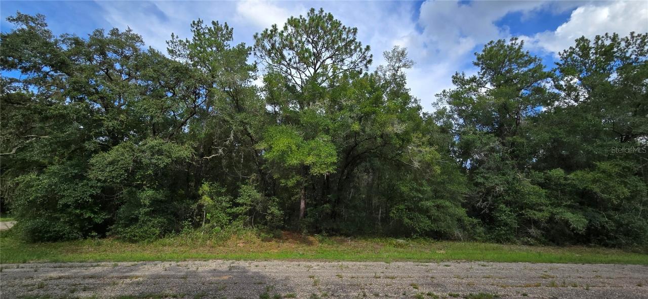 9427 N Lampson Ter., Dunnellon, FL 34434