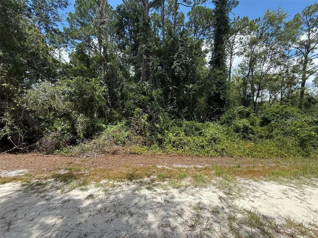 322 Palm Way, Georgetown, FL 32139