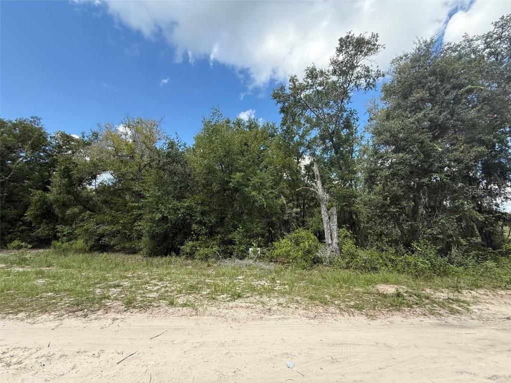 E Cowpen Lake Rd., Hawthorne, FL 32640