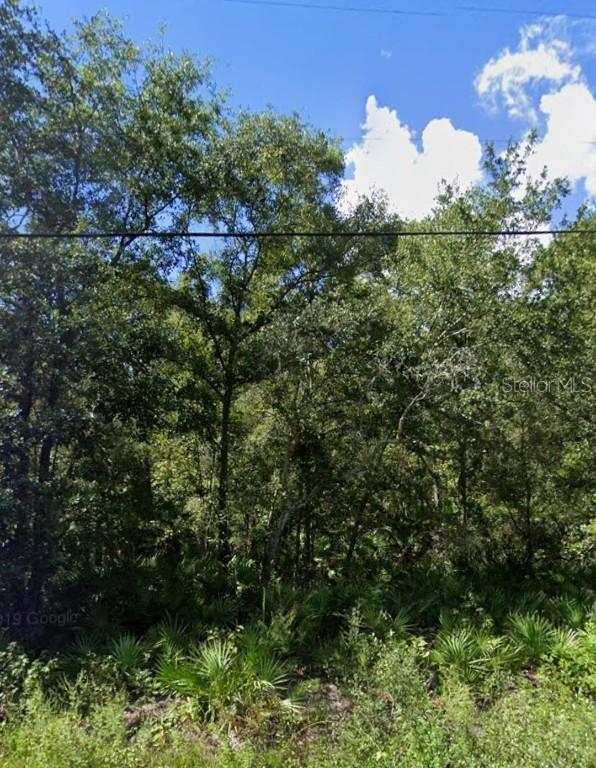 Atlee St., New Port Richey, FL 34654