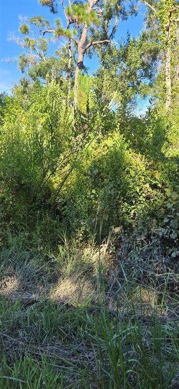 Evergreen St., New Port Richey, FL 34654