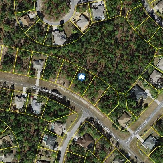 62 Corkwood Blvd., Homosassa, FL 34446