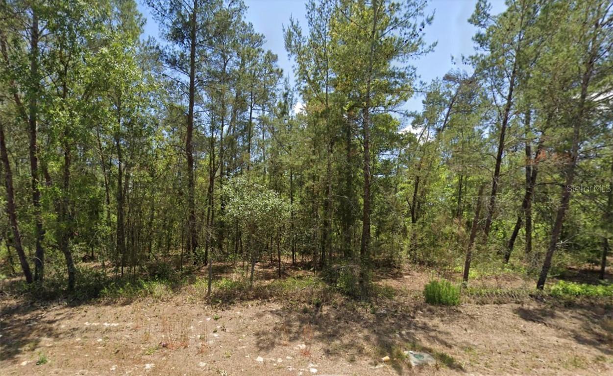6230 W Oak Park Blvd., Homosassa, FL 34446