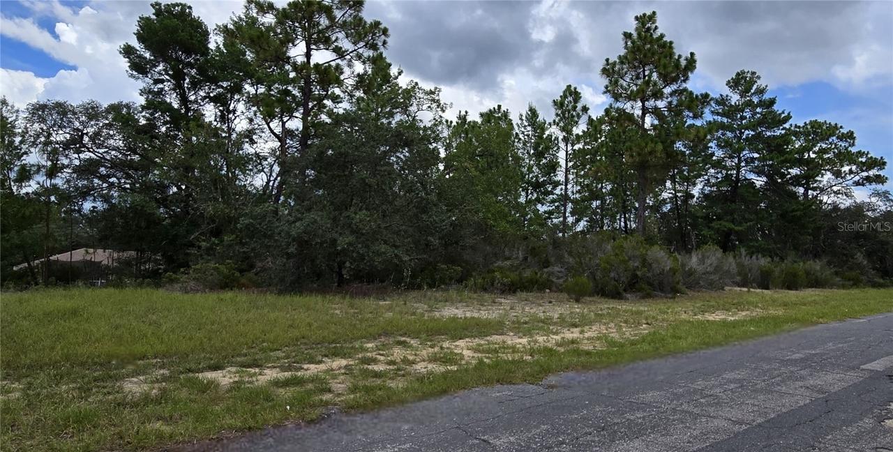 2899 W Santana Dr., Citrus Springs, FL 34433
