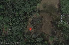 [Address Hidden by Seller], Webster, FL 33597