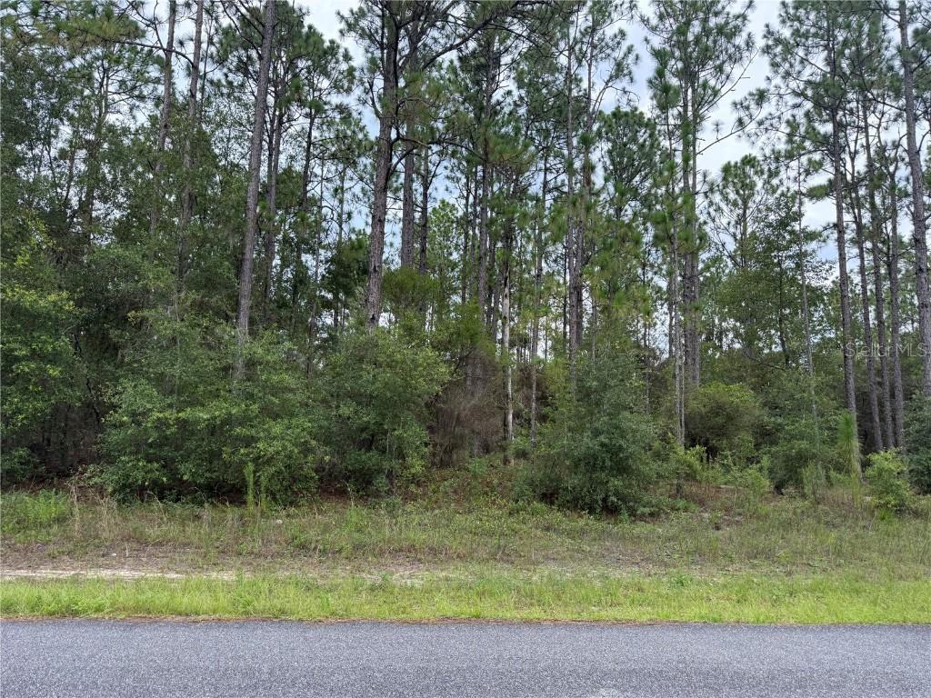 1675 W Donner Dr., Citrus Springs, FL 34434