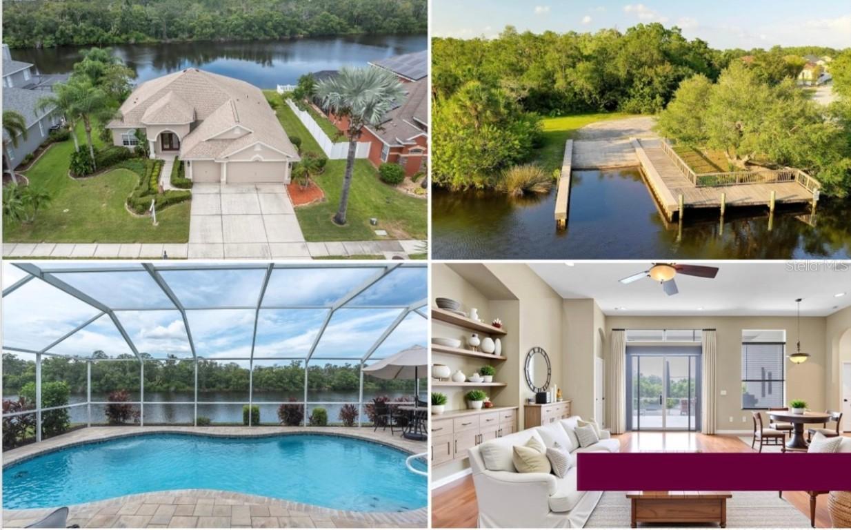 2323 Tarragon Ln., Trinity, FL 34655