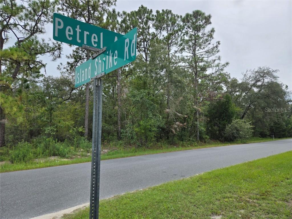 Petrel Ave., Weeki Wachee, FL 34614