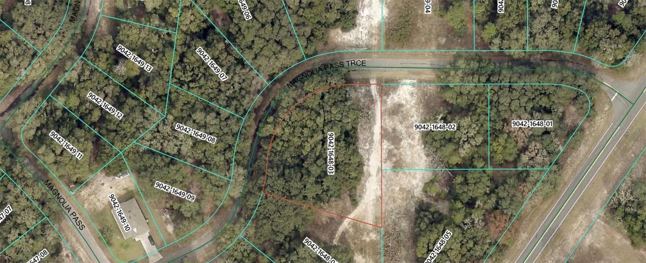 Magnolia Pass Trace, Ocklawaha, FL 32179