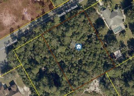 Noddy Tern Rd., Weeki Wachee, FL 34613