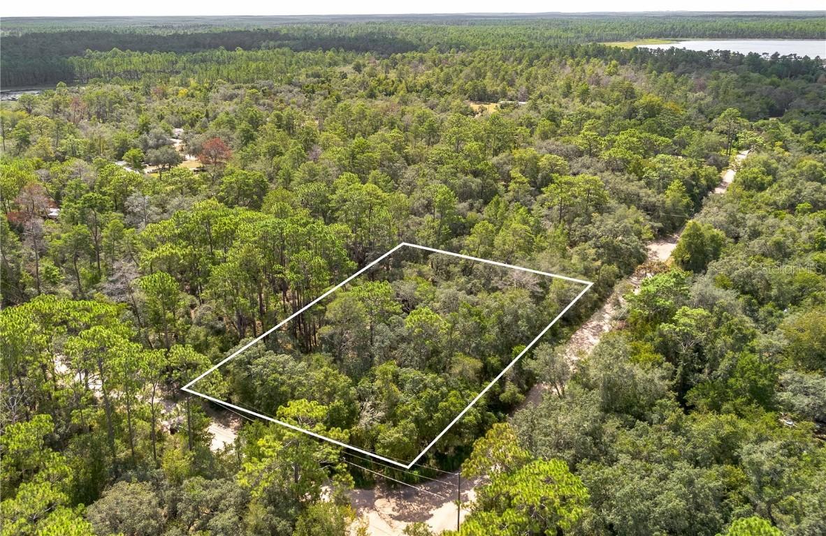 Southeast 92nd Pl., Ocklawaha, FL 32179