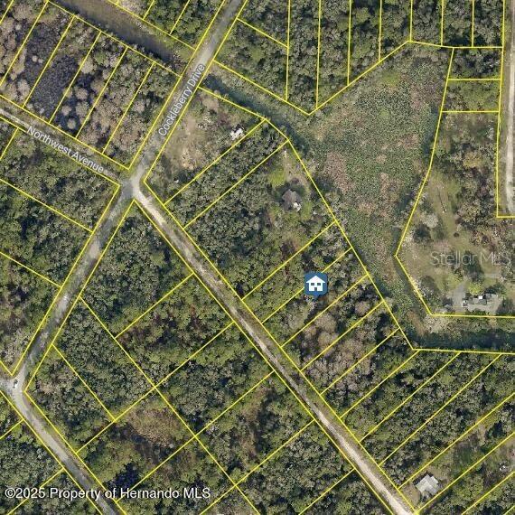 lOT 7 Northwest Ave., Webster, FL 33597
