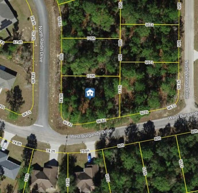 8737 N Raidin Dr., Citrus Springs, FL 34433